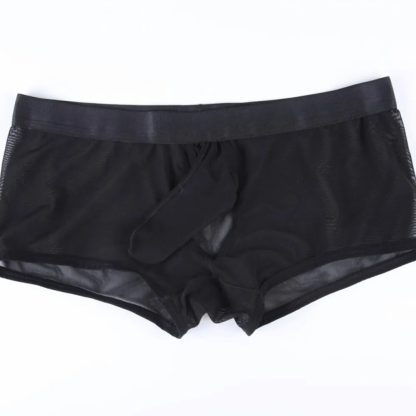 See-Through Mesh Boxer Briefs - Image 6