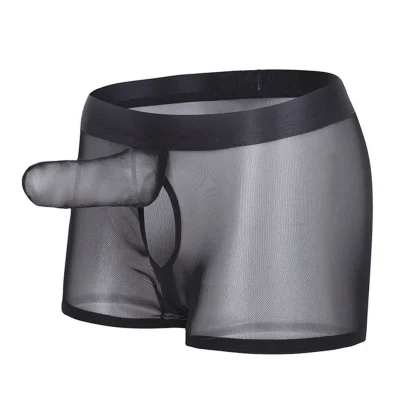 See-Through Mesh Boxer Briefs