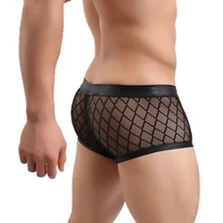 Elegant Detailed Mesh Boxer Brief